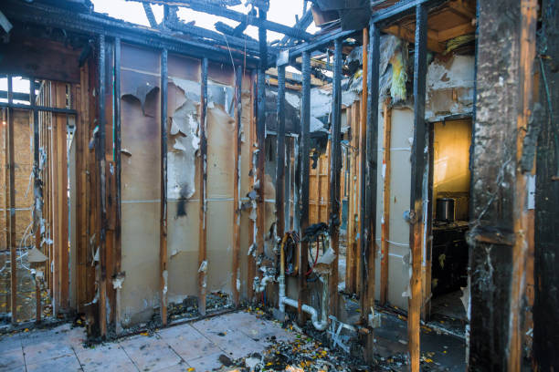 Professional Smoke Damage Removal technician working in Dublin, VA